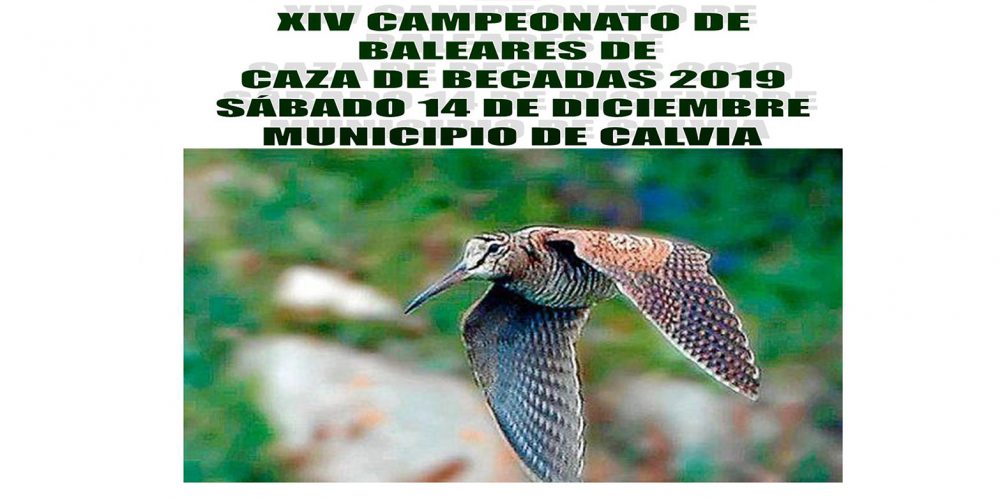 Imagen en miniatura de entrada