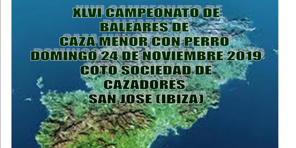 Imagen en miniatura de entrada