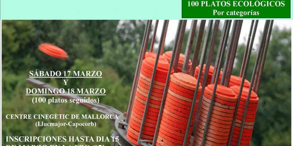 Imagen en miniatura de entrada