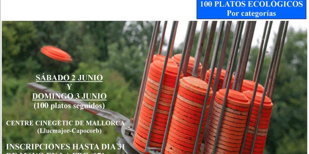 Imagen en miniatura de entrada