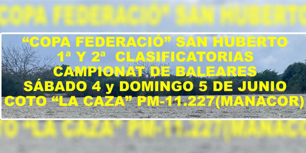 Imagen en miniatura de entrada