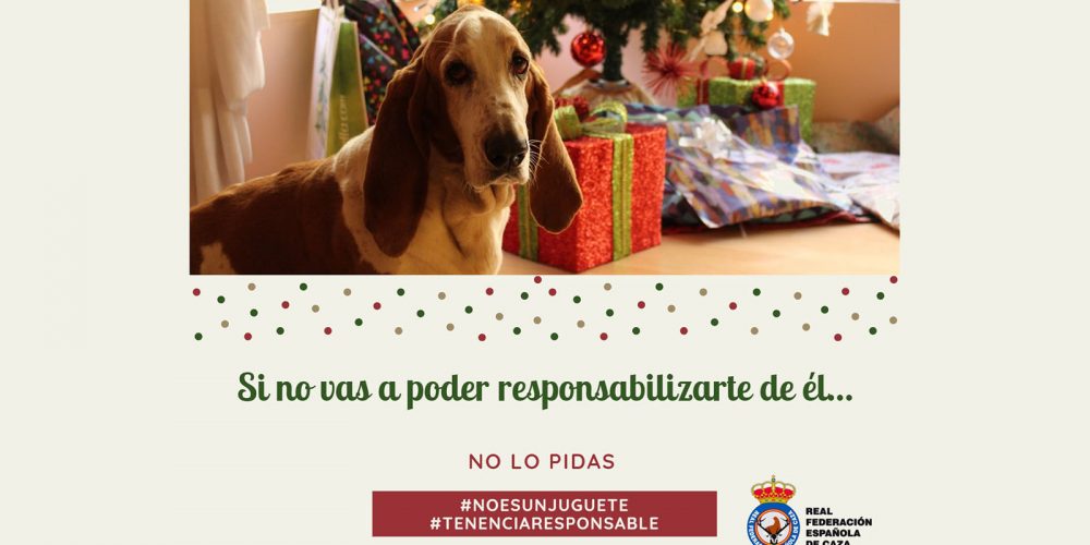 Imagen en miniatura de entrada