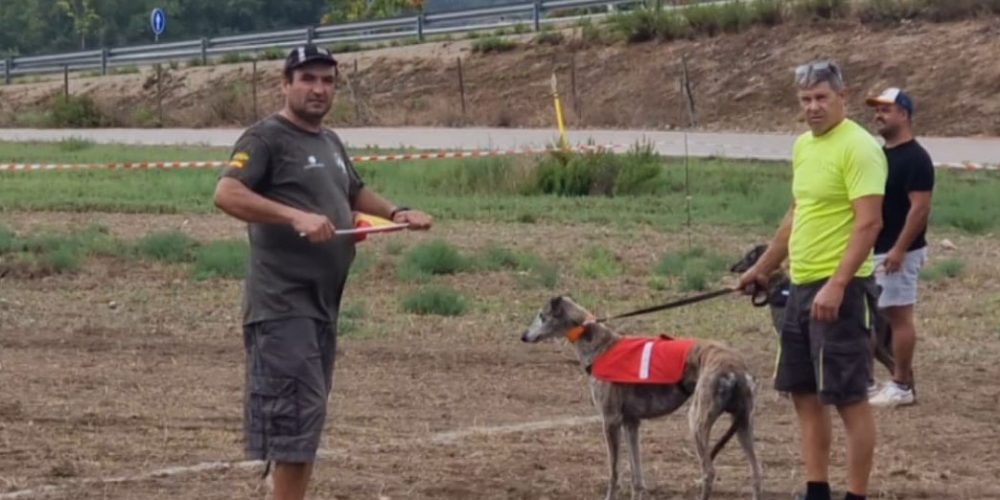 Resultados del sábado 2 de septiembre: Cans llebrers con liebre mecánica