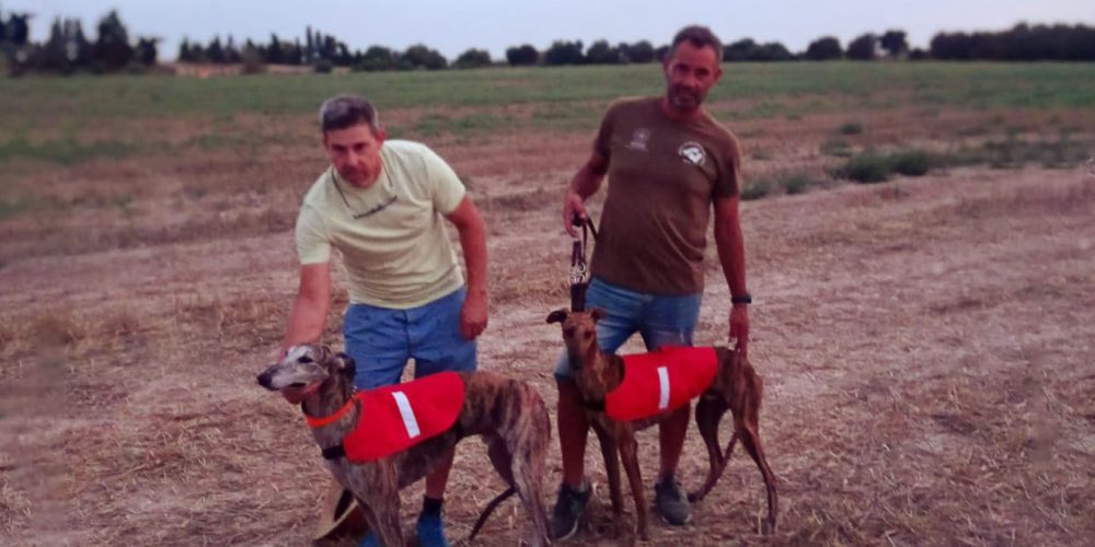 Campeonato de Baleares por Clubes de “Cans Llebrers”