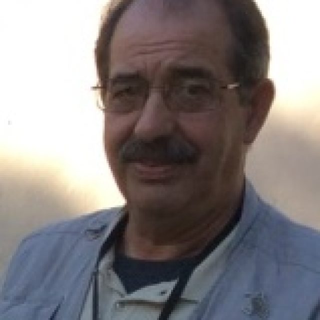 D. Guillermo Borrás Figuerola