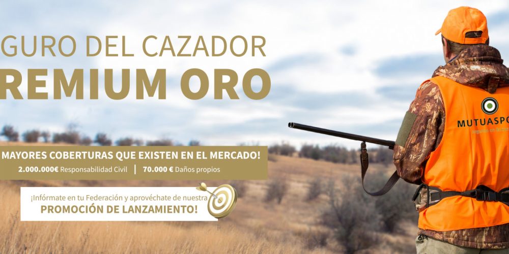 ¿Cómo puedo organizar una montería/batida segura?