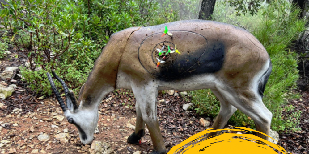 Esporles acoge el VII Campeonato de Baleares de Recorridos de Caza con Arco