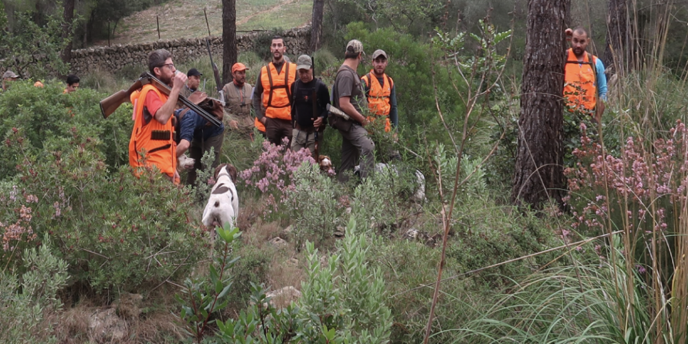 El coto de Bendinat acogerá el Campeonato de Baleares de Caza Menor con Perro