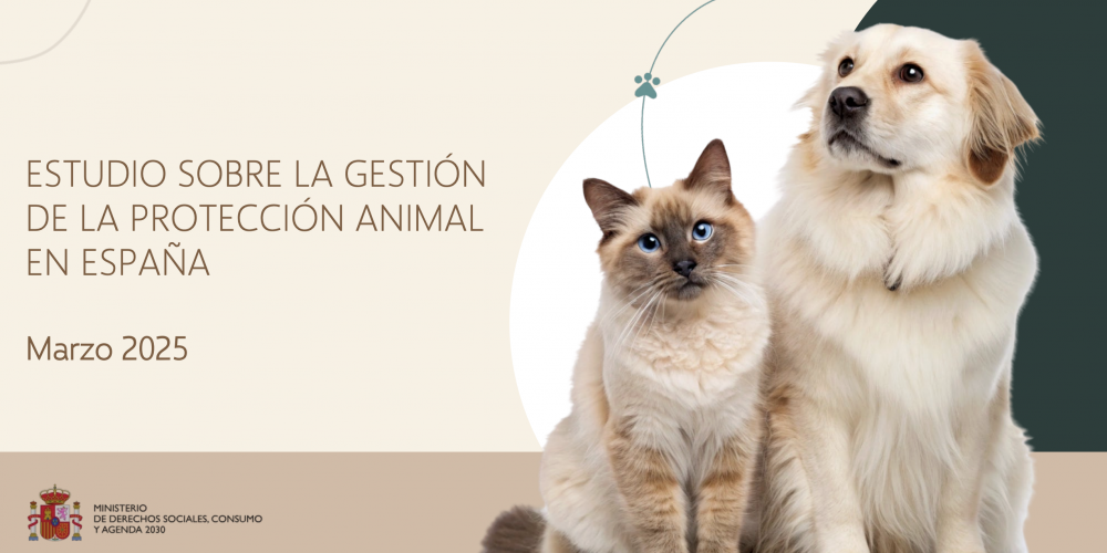 Los cazadores exigen rigor a partidos políticos y medios de comunicación tras el informe del Gobierno que desmonta la mentira del abandono masivo de perros de caza