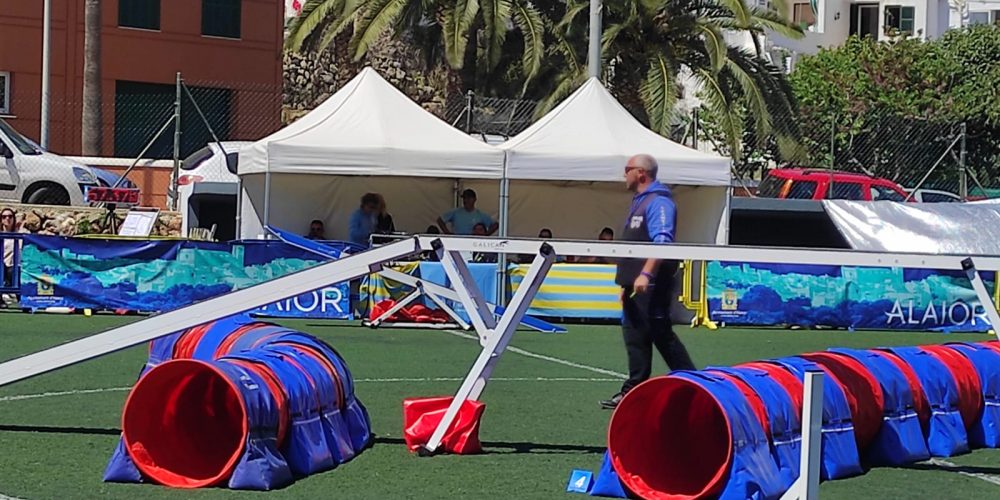 Celebrada la Copa de Baleares de Agility 2024