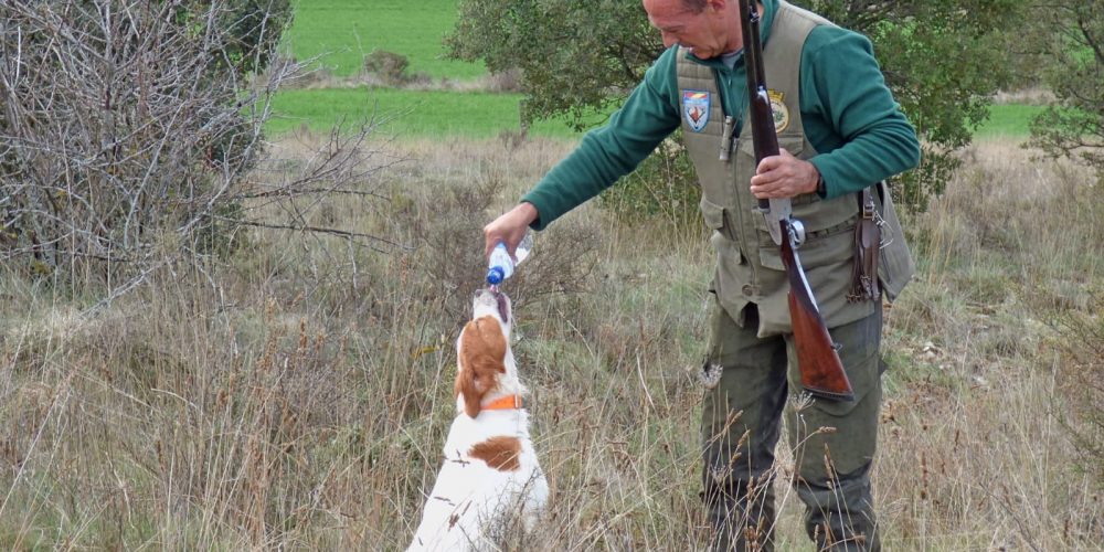 El Gobierno desmonta el bulo del abandono de perros de caza