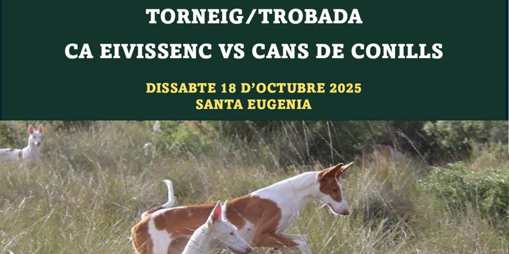 Santa Eugènia acogerá el Torneig/Trobada Ca Eivissenc vs Cans de Conills