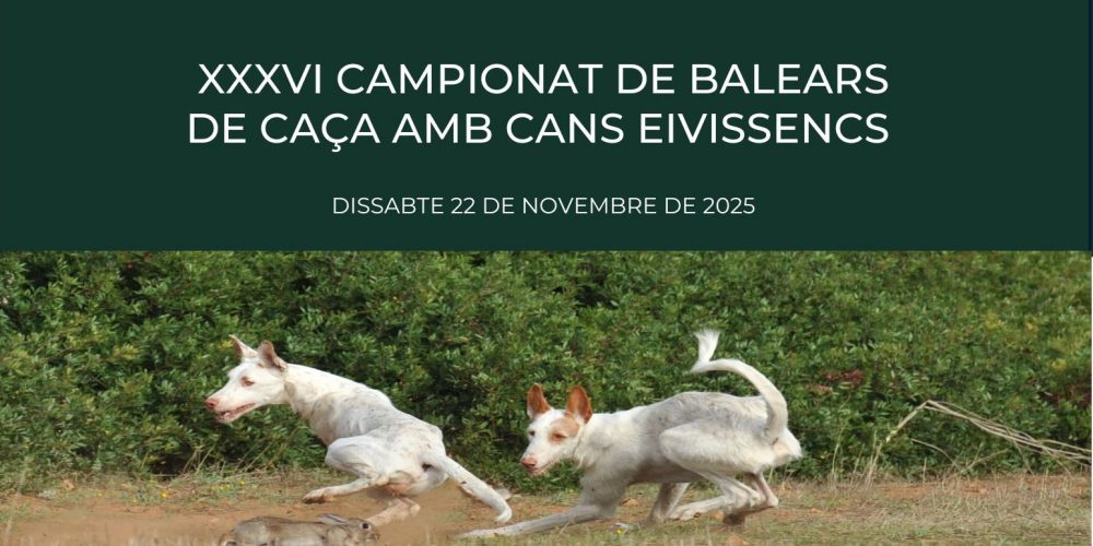 Llucmajor acogerá el XXXVI Campeonato de Baleares de Caza con Perros Eivissencs