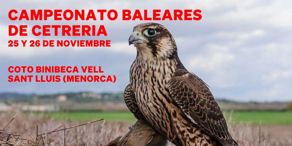 CAMPEONATO DE BALEARES  DE CETRERÍA