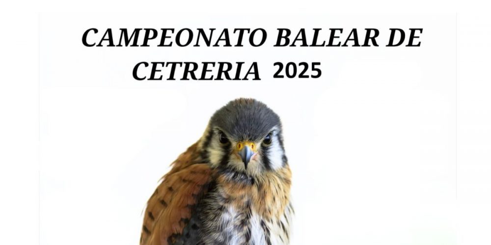 La finca Son Valls acogerá el Campeonato Balear de Cetrería 2025 los días 15 y 16 de noviembre