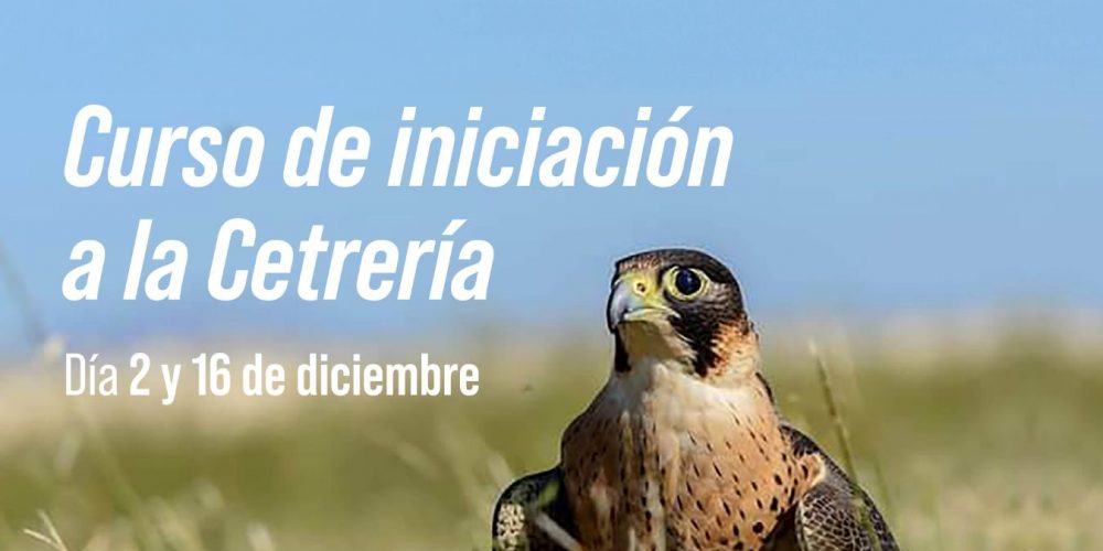 Nuevo curso de iniciación a la cetrería