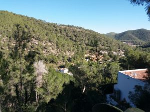 Alegaciones al Plan de Gestión Red Natura 2000 Serra Grossa