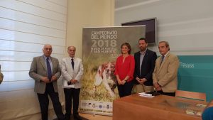 presentacion_cpto_mundo 1