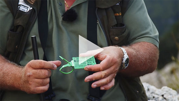 Caça Major a Mallorca