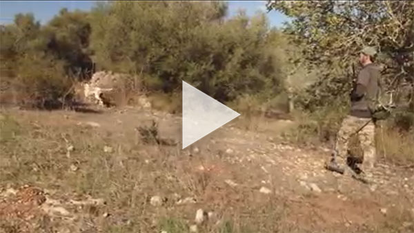 Societats de Caçadors a Mallorca