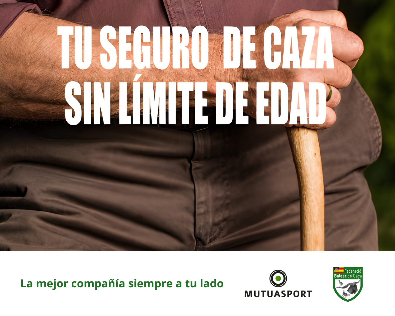 balcaza y sus seguros de mutuasport