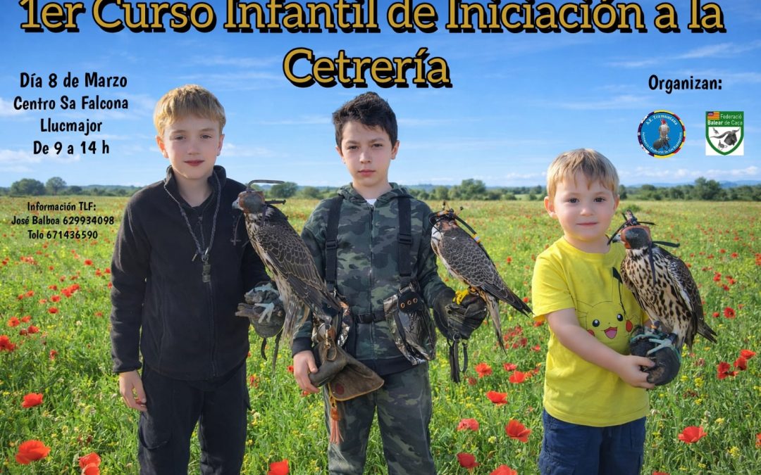 cartel curso infantil de cetreria