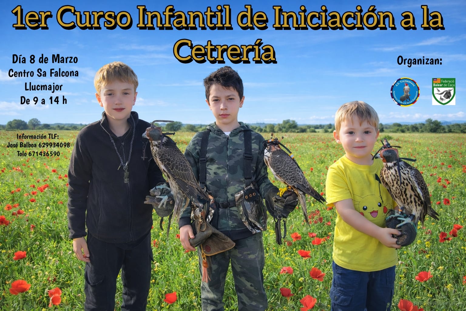 cartel curso infantil de cetreria