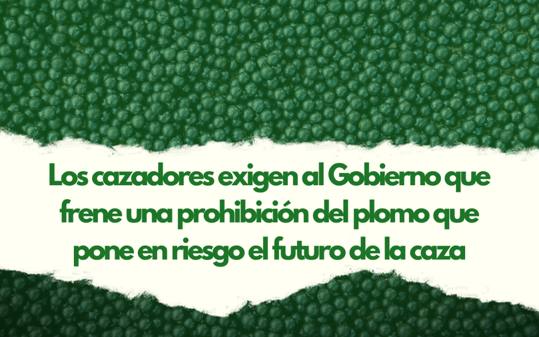 prohibicion plomo nota de prensa