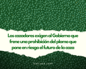 prohibicion plomo nota de prensa
