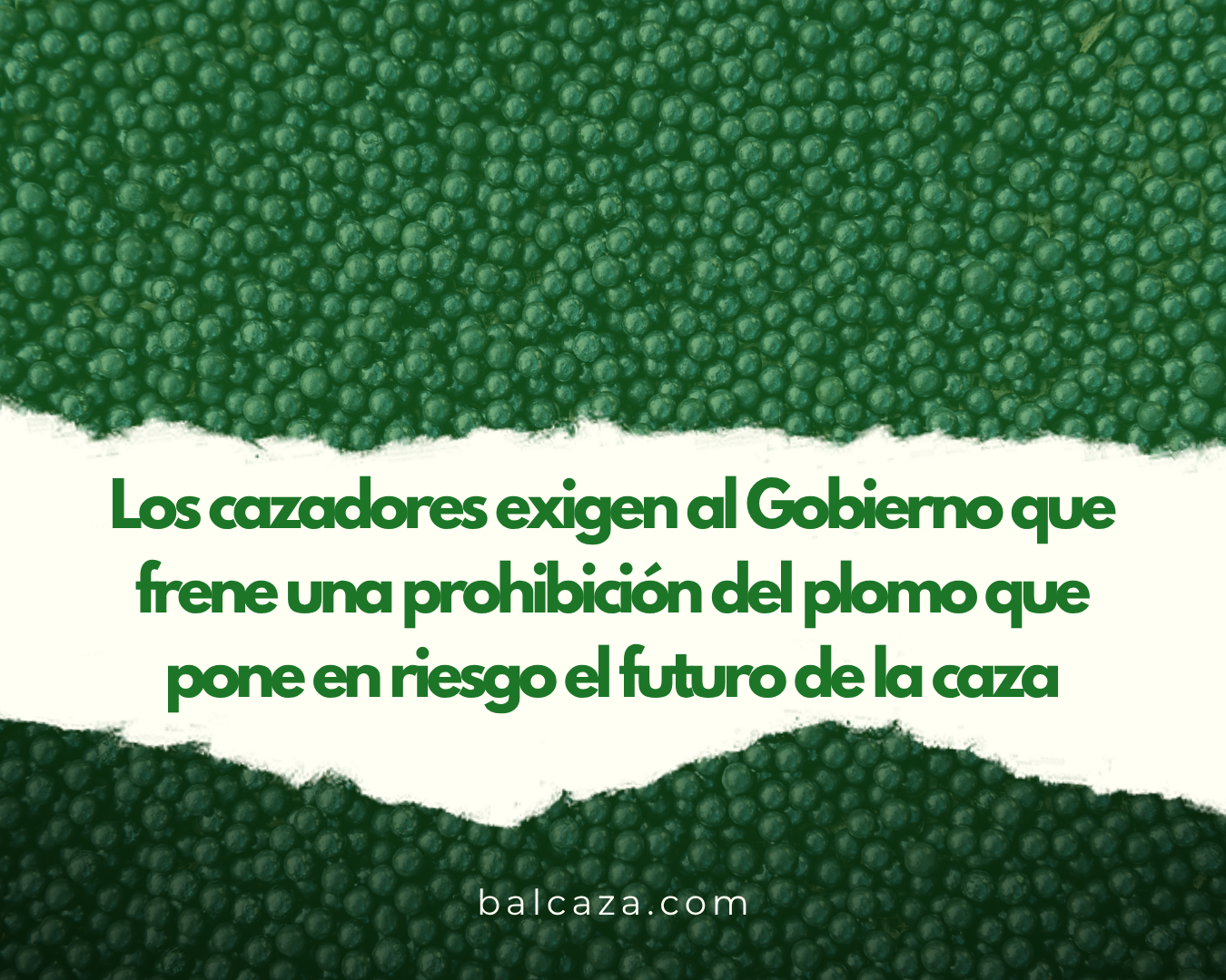 prohibicion plomo nota de prensa