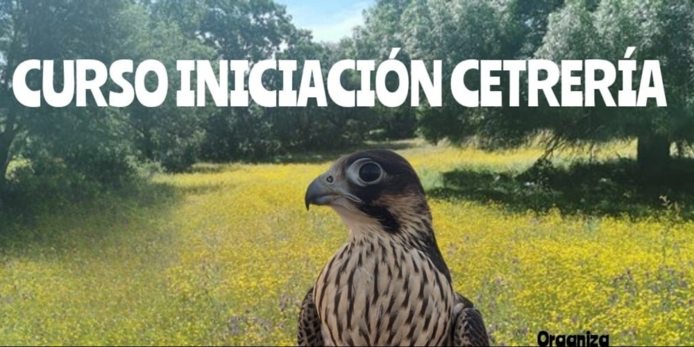 Anuncio: Curso de Iniciación a la Cetrería