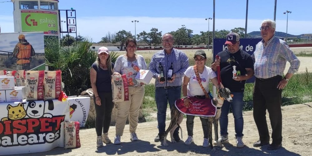 Gran éxito del primer Campeonato de Mallorca de Cans Llebrers a Llebre Mecànica