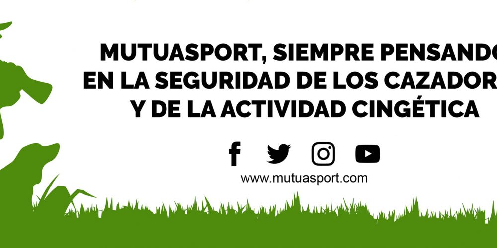 ¿Qué responsabilidad civil tengo como jefe de batida de mi Sociedad de cazadores si se produce un accidente de caza?