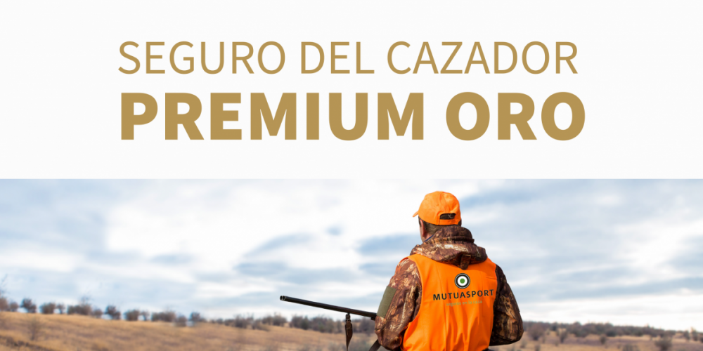 ¿Qué responsabilidad legal tengo como orgánico de una montería en un accidente?